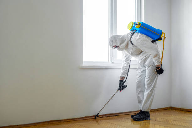 Pest Control for Warehouses in Shortsville, NY